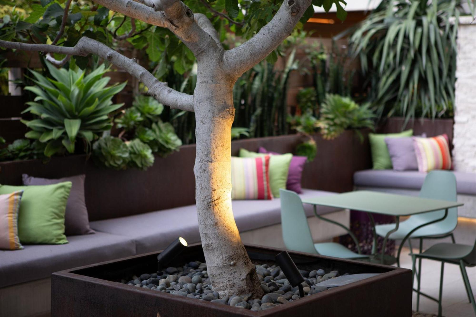 Cerro Hotel San Luis Obispo